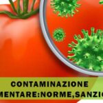 LE CONTAMINAZIONI MICROBICHE DEGLI ALIMENTI